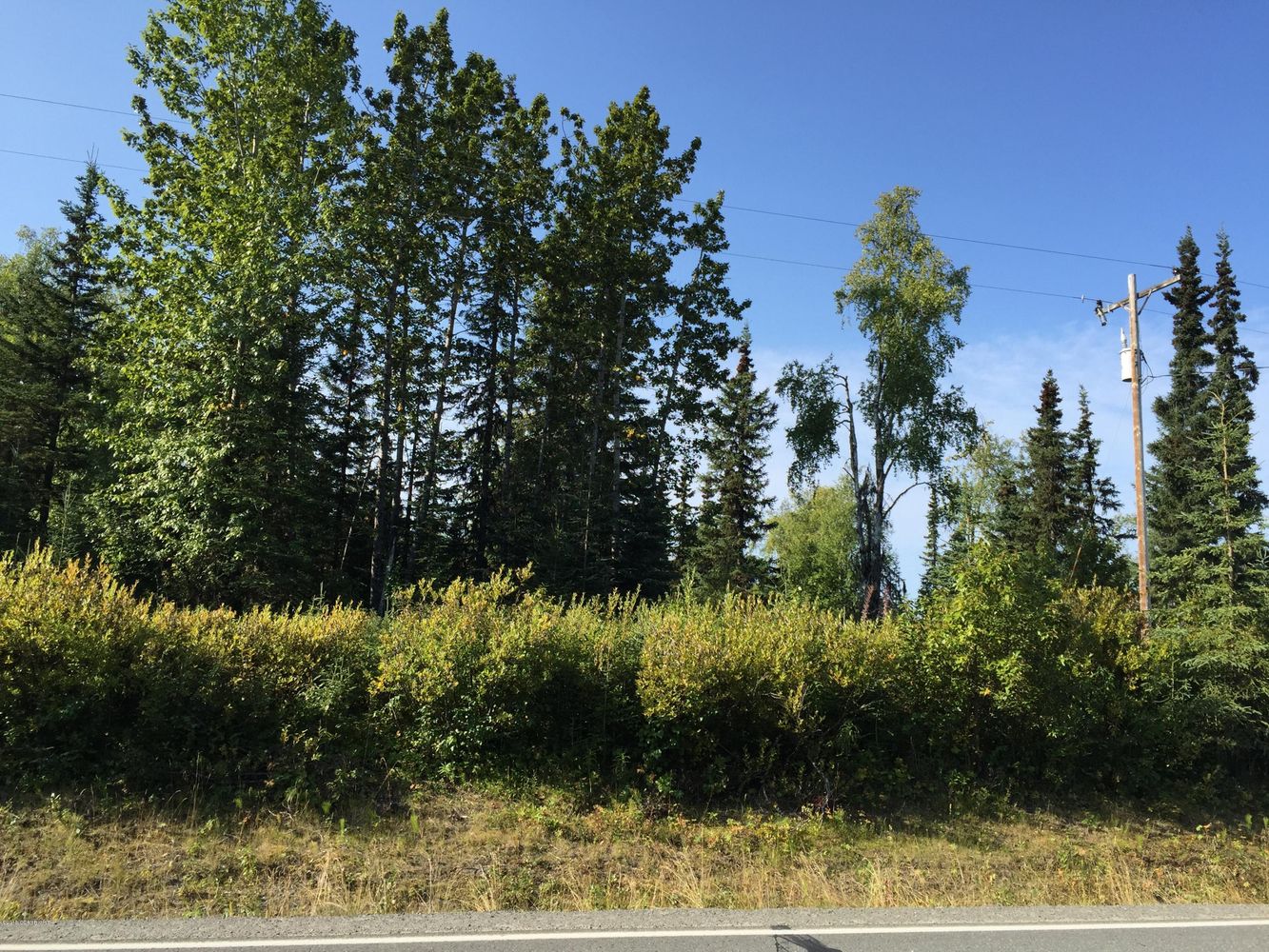 63787 Oil Well Rd, Ninilchik, AK 99639